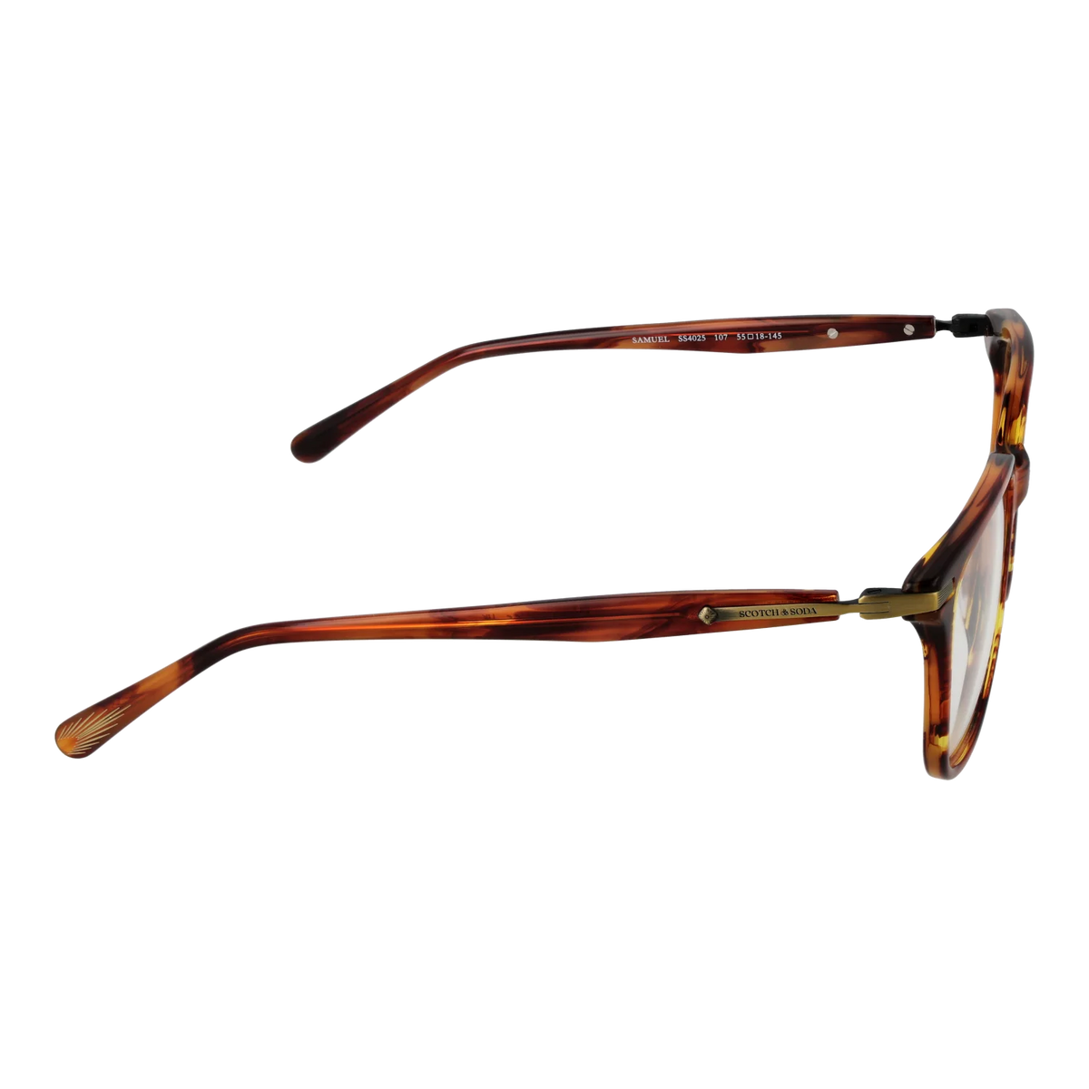 Scotch & Soda Optische Fassungen SS4025 107 55 - Watchshop24.eu
