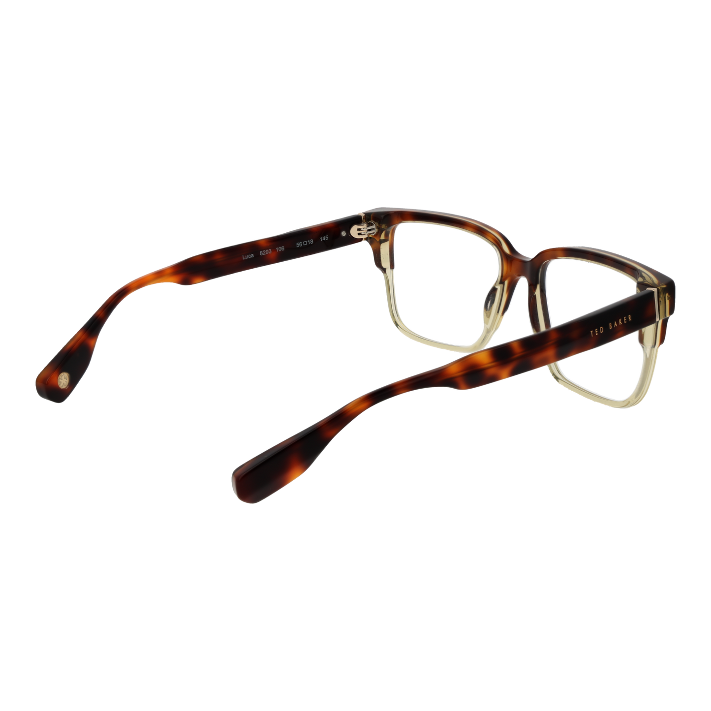 Ted Baker Optical Frame TB8293 106 56