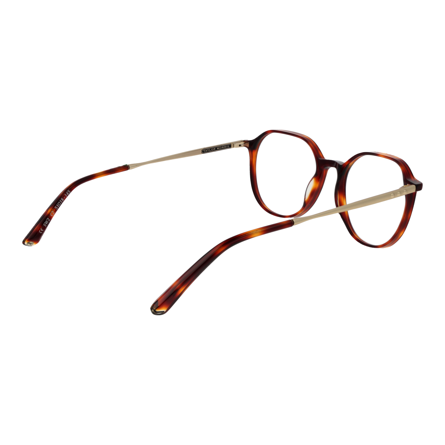 Taylor Morris Optical Frame SW2 C2 51