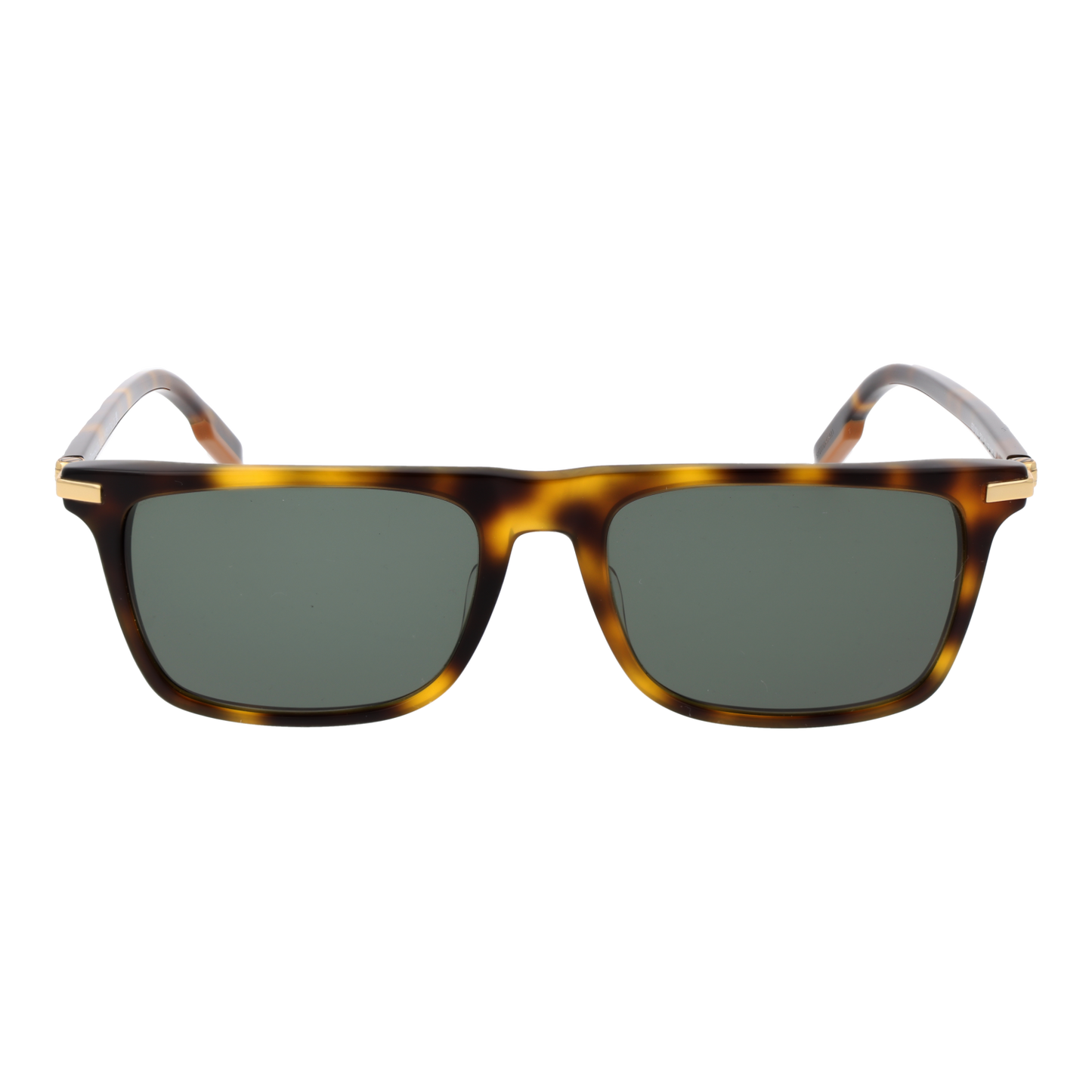 Ermenegildo Zegna Sunglasses EZ0204 52N 56