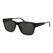 sfi311-54099a.png
