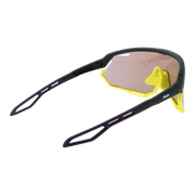 sfi721-99507v_2.png