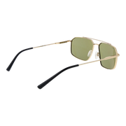 ss546005-wayne_2.png