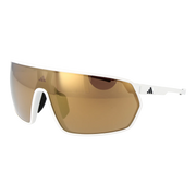 sp0088-0024g.png