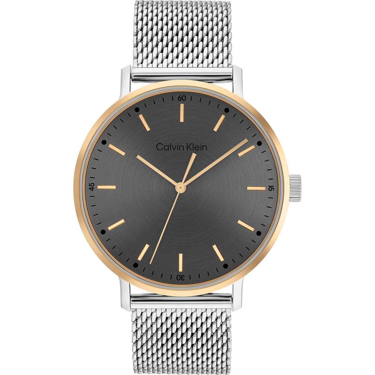 Calvin Klein 25200047 Modern Mesh Herrenuhr