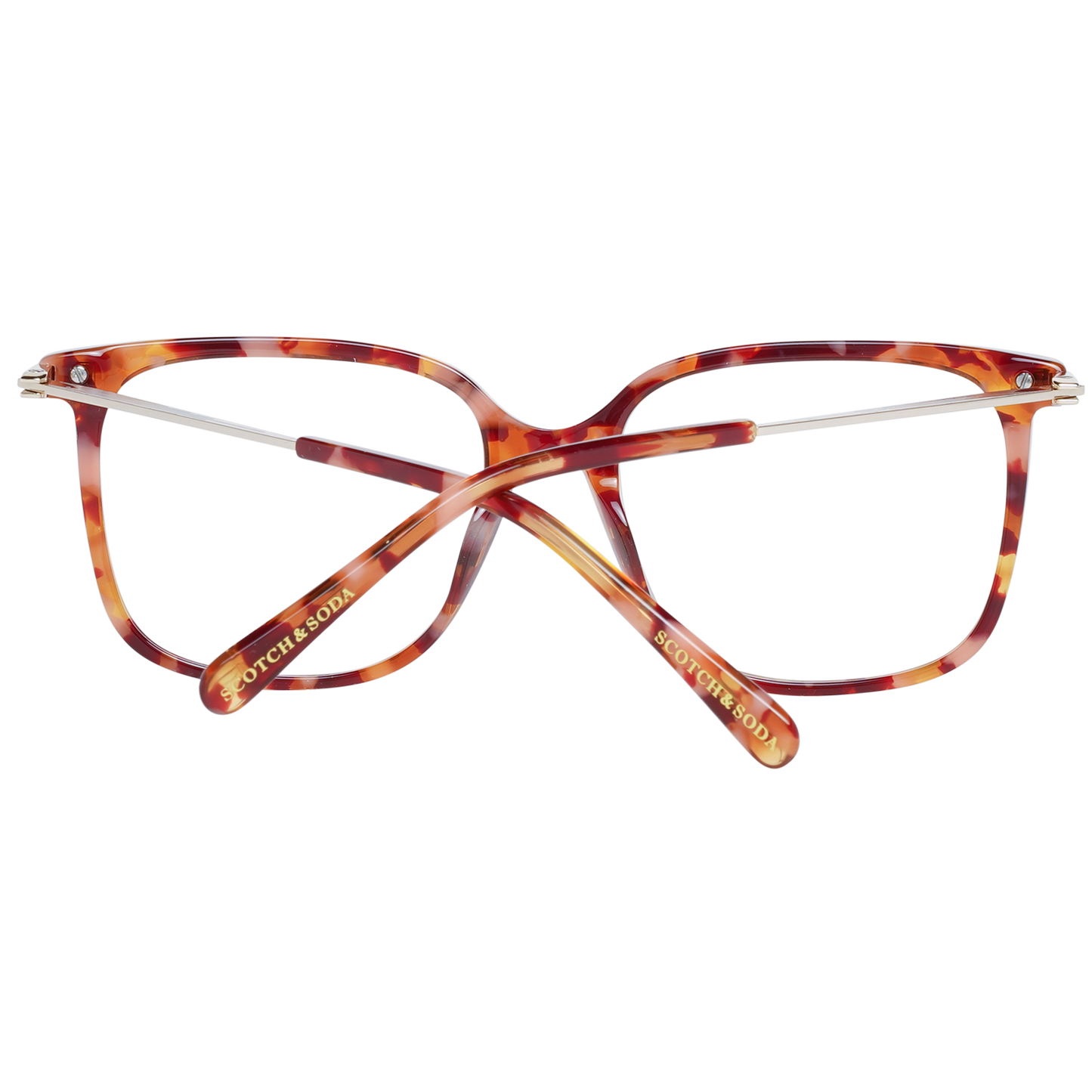 Scotch & Soda Brille SS3012 371 54