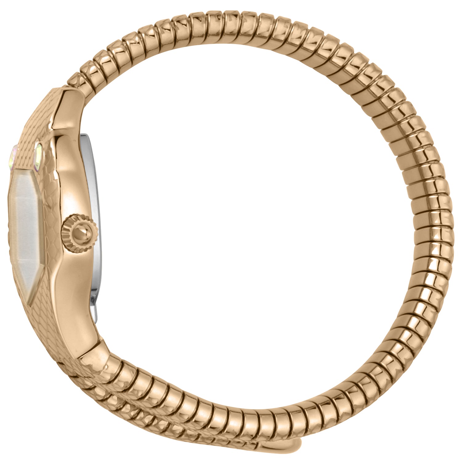 Just Cavalli Watch JC1L177M0045