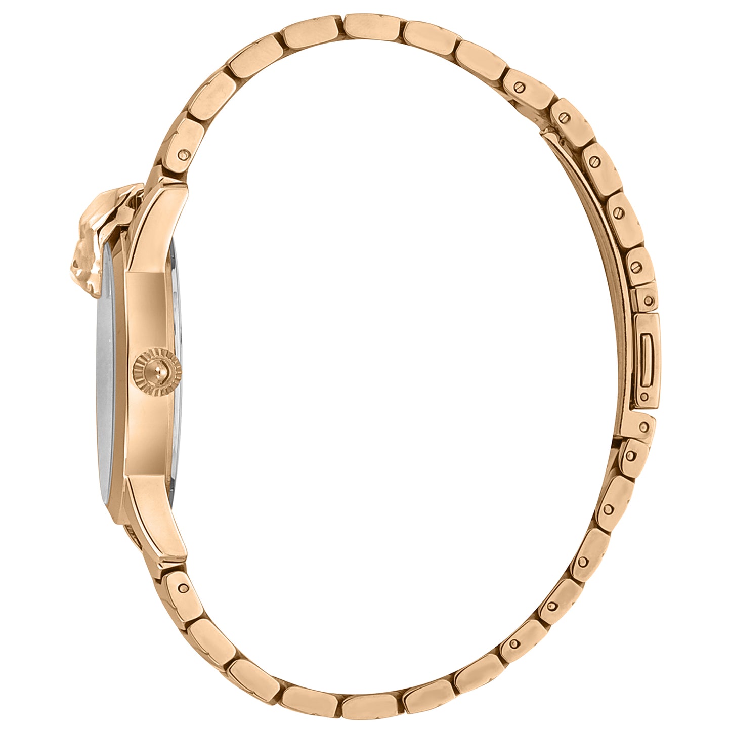 Just Cavalli Watch JC1L220M0255