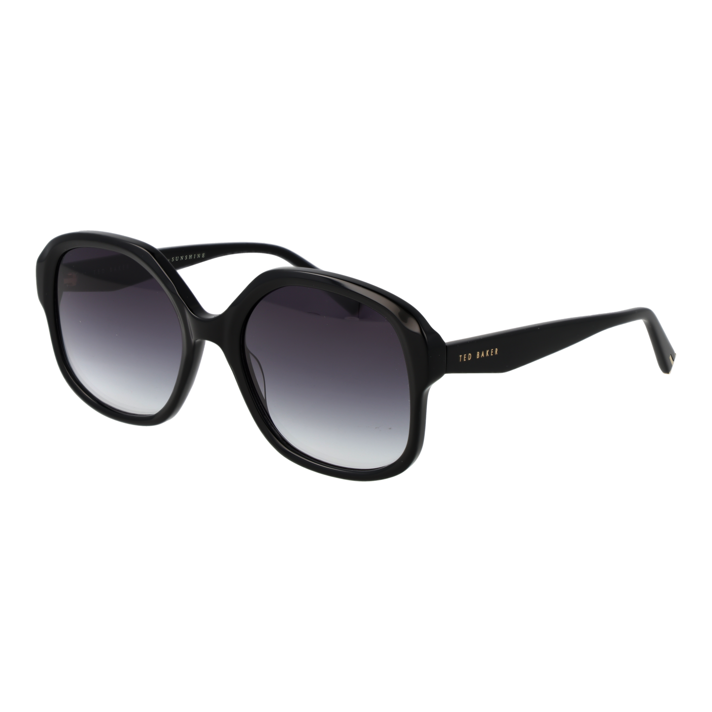 Ted Baker Sunglasses TB1685 001 55