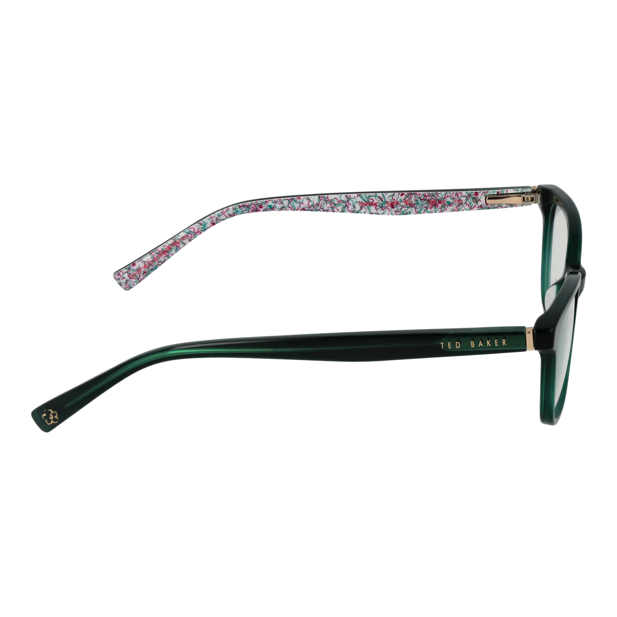 Ted Baker Optische Fassungen TB9245 561 49 - Watchshop24.eu