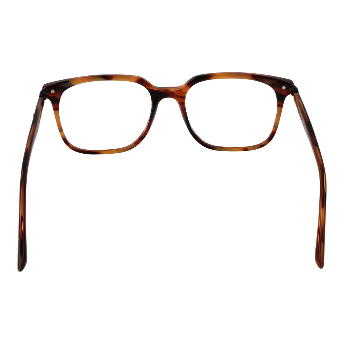 Scotch & Soda Optische Fassungen SS4025 107 55 - Watchshop24.eu