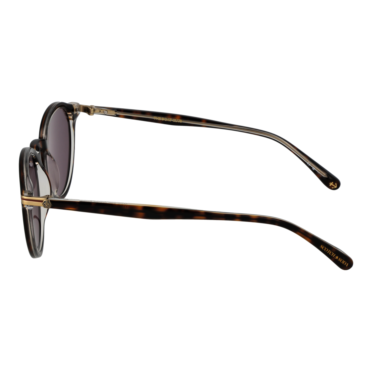 Scotch & Soda Sunglasses SS8023 102 51