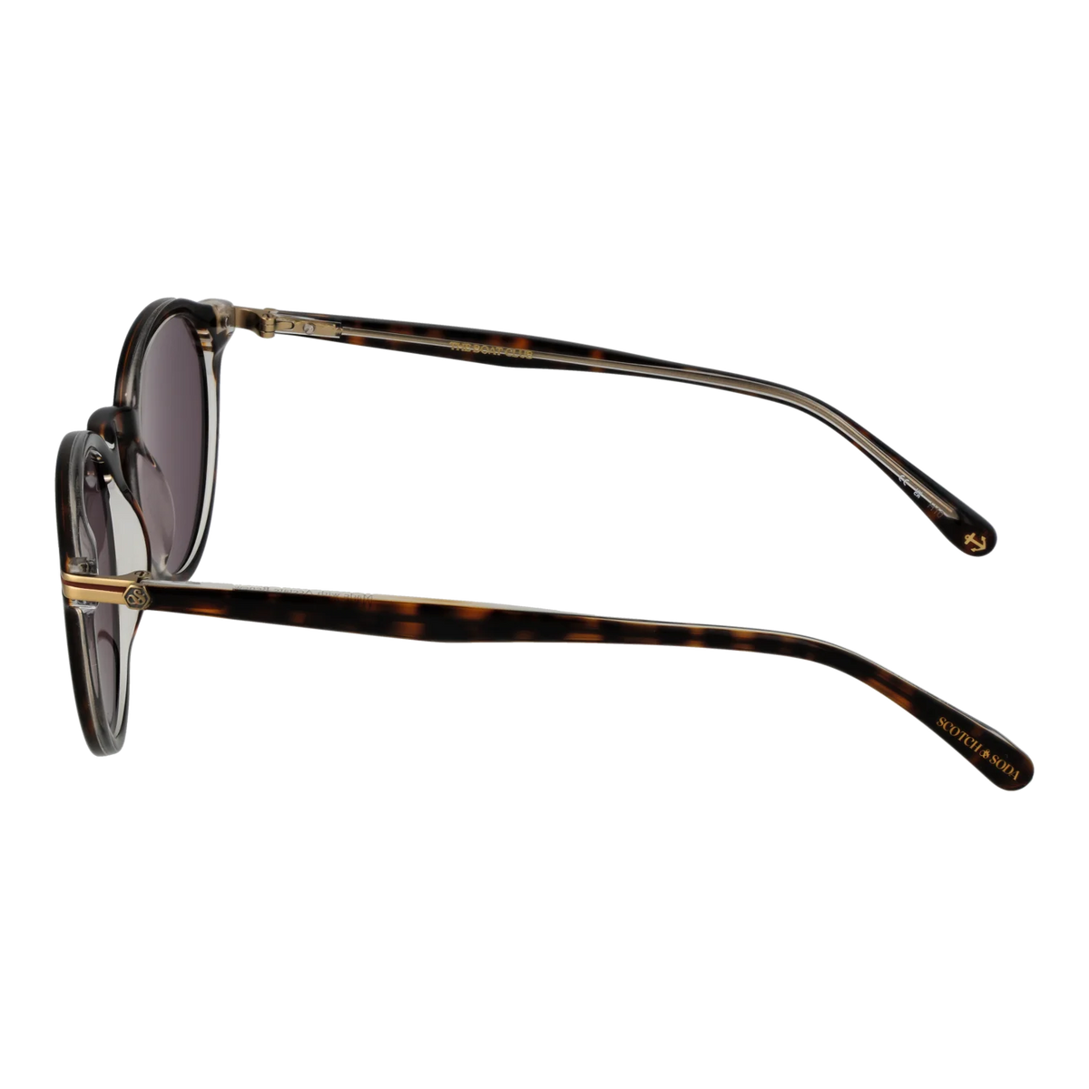 Scotch & Soda Sonnenbrille SS8023 102 51 - Watchshop24.eu