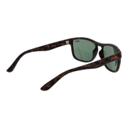 sds-rockstar-54122_2.png