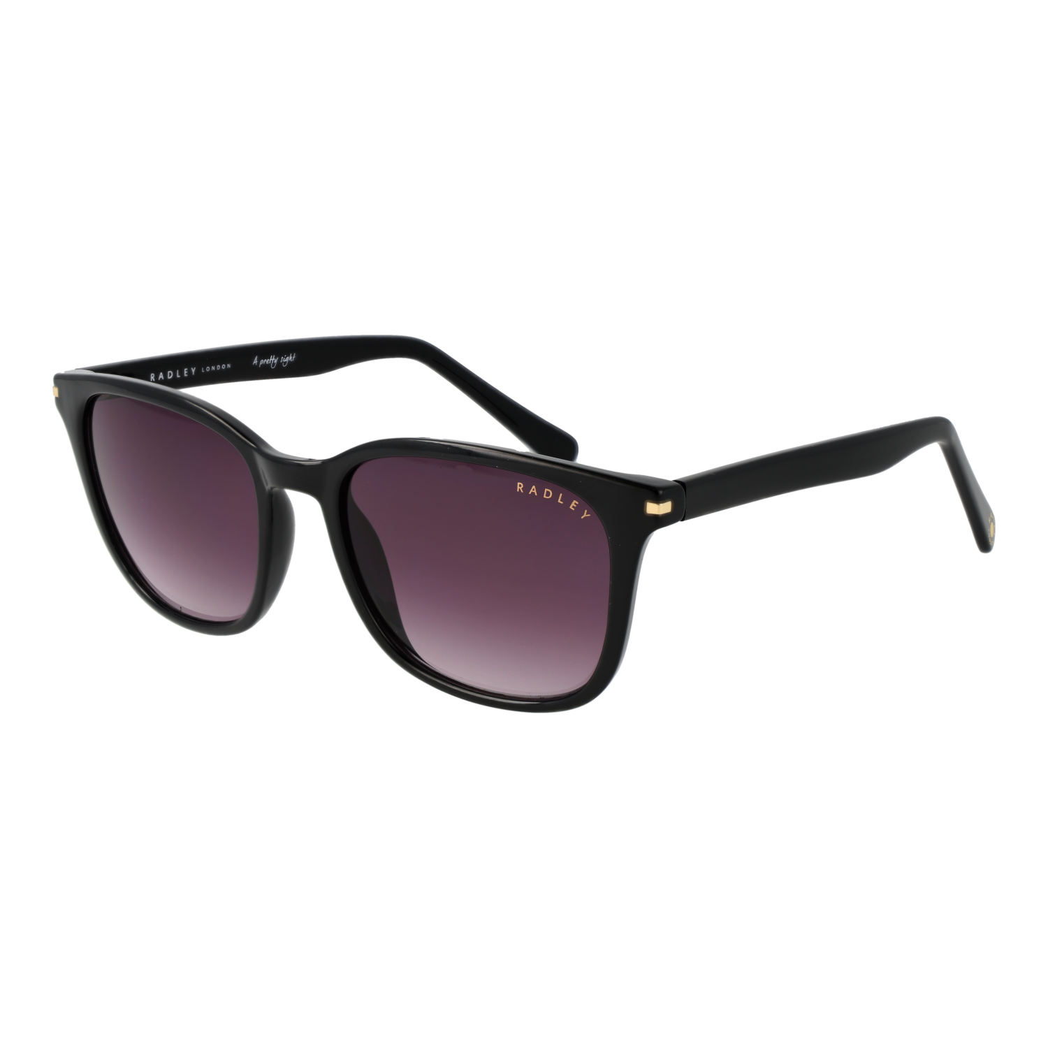 Radley Sunglasses RDS-DILLY 104 52