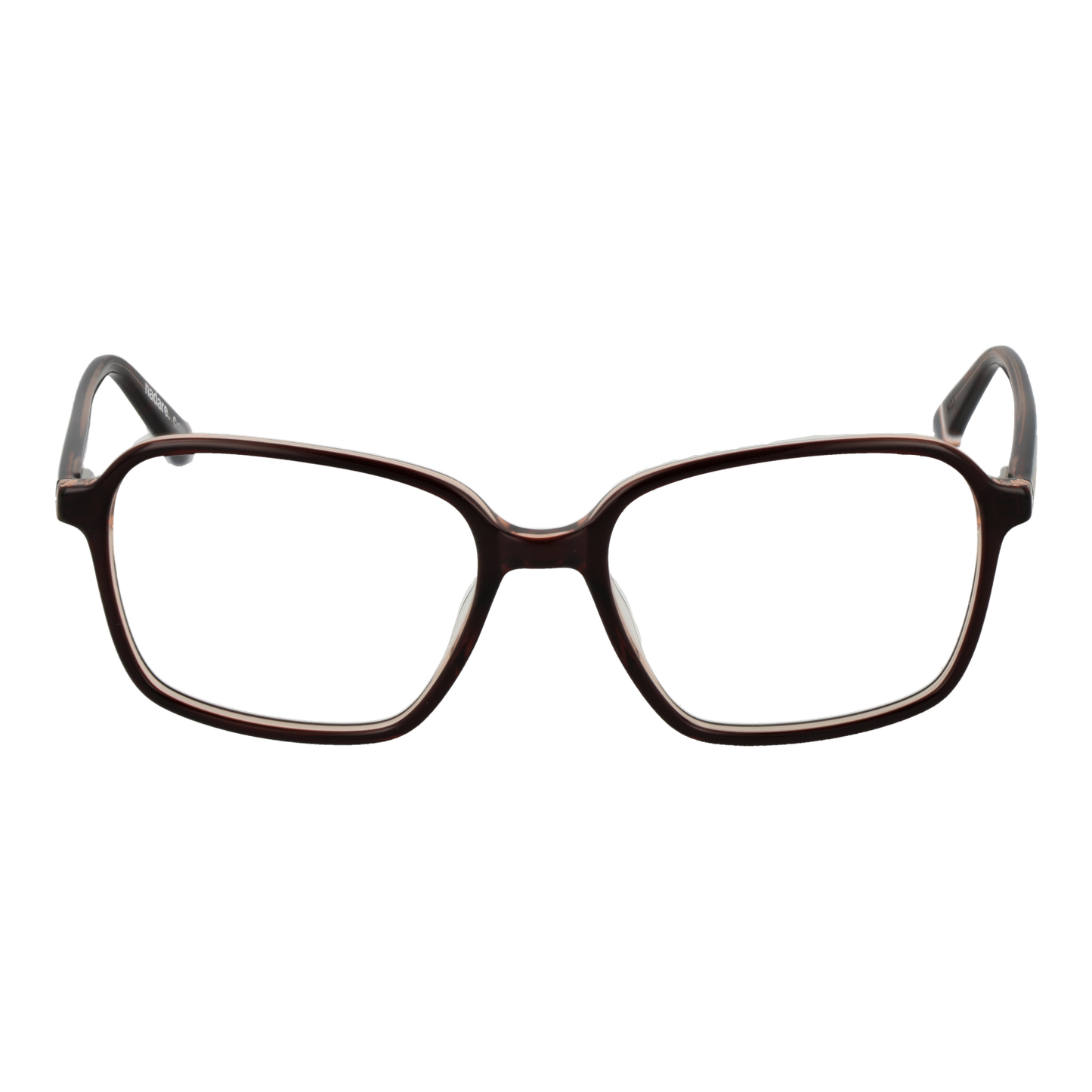 Superdry Optical Frame SDO-NADARE 103 53