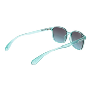 sds-5028-52107_2.png