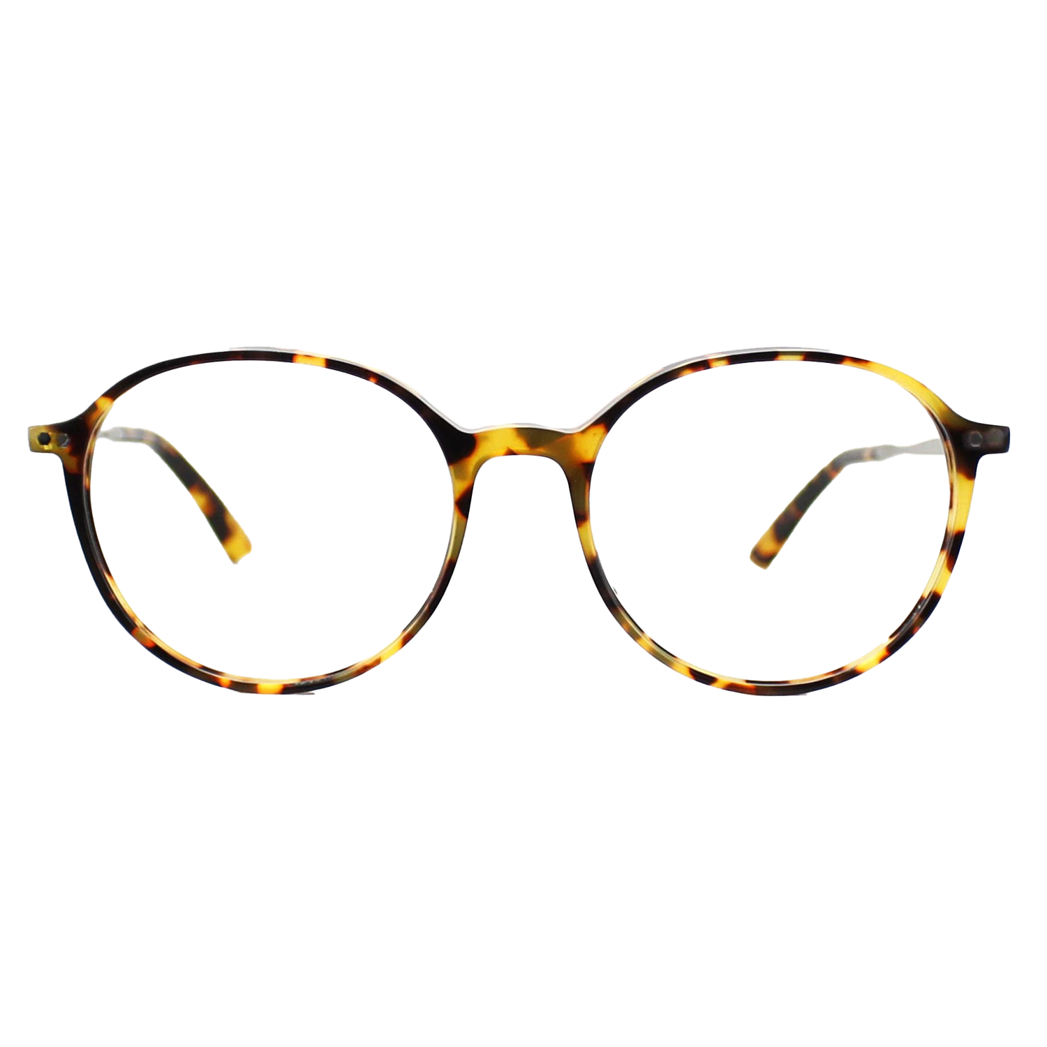 Taylor Morris Optical Frame SW1 C3 51
