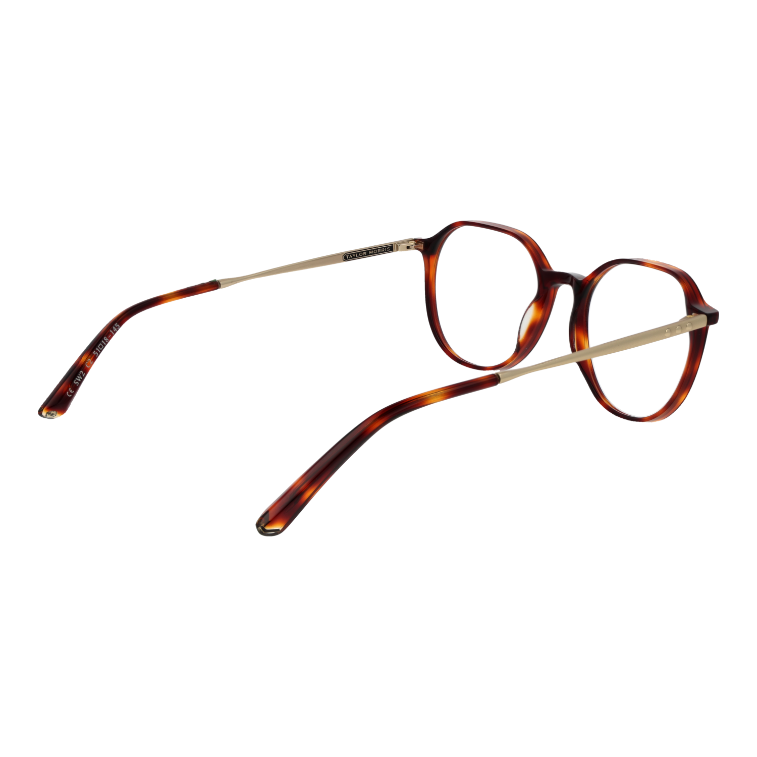 Taylor Morris Optical Frame SW2 C2 51
