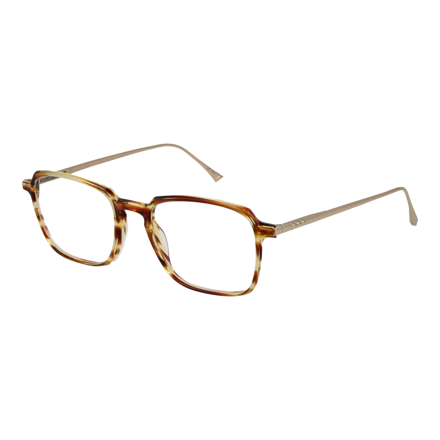 Taylor Morris Optical Frame SW3 C2 53