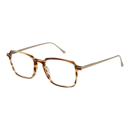 Taylor Morris Optical Frame SW3 C2 53