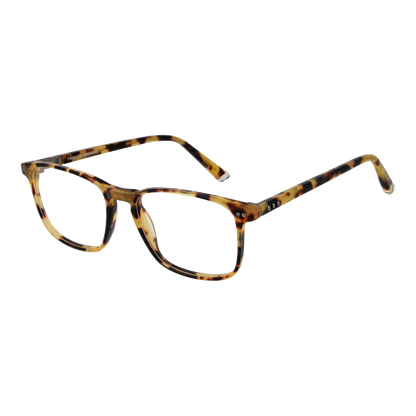 Taylor Morris Optical Frame SW16 C3 52