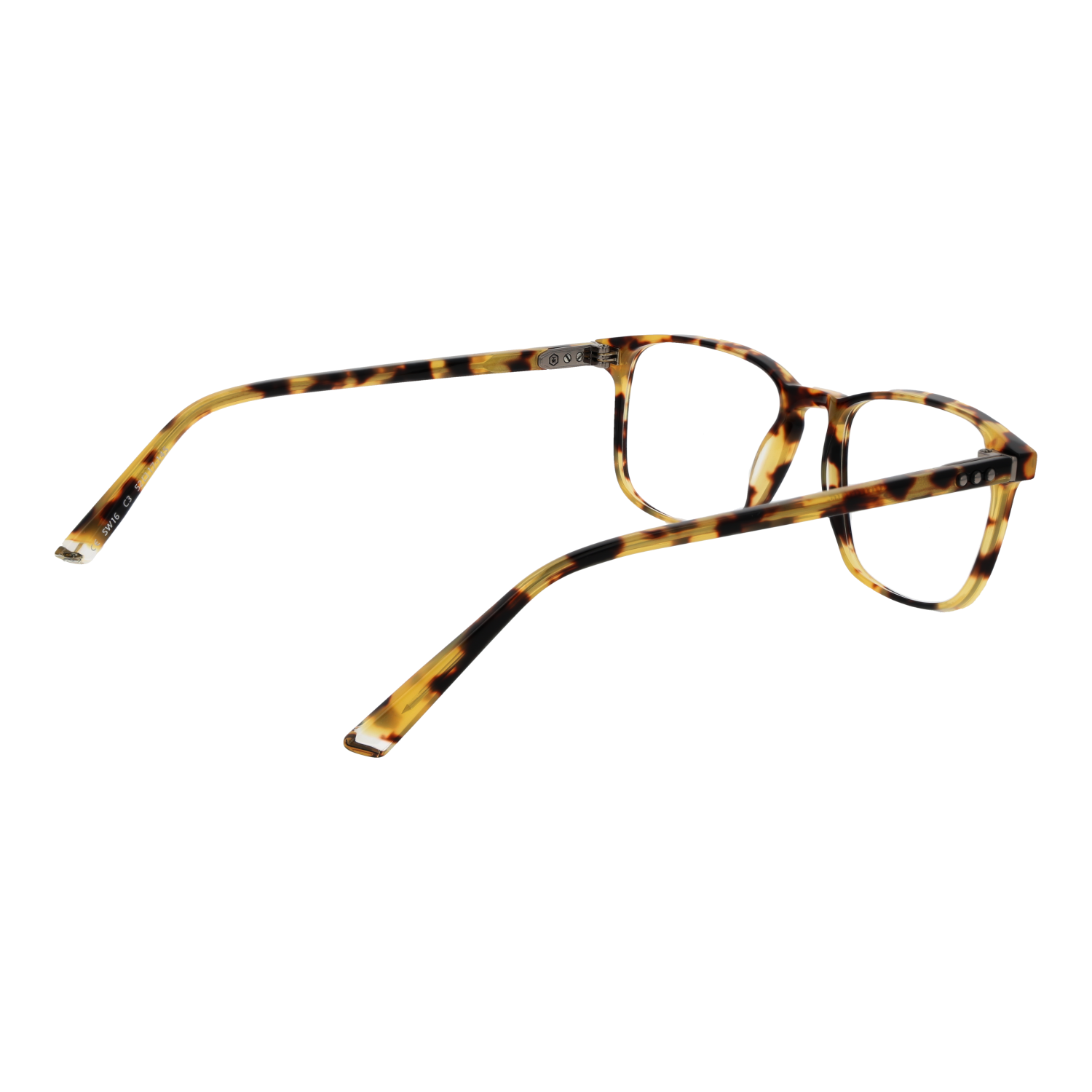Taylor Morris Optical Frame SW16 C3 52