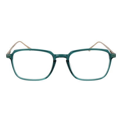 Taylor Morris Optical Frame SW3 C6 53