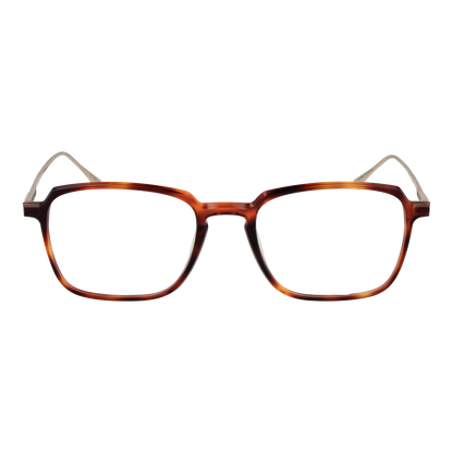 Taylor Morris Optical Frame SW3 C7 53