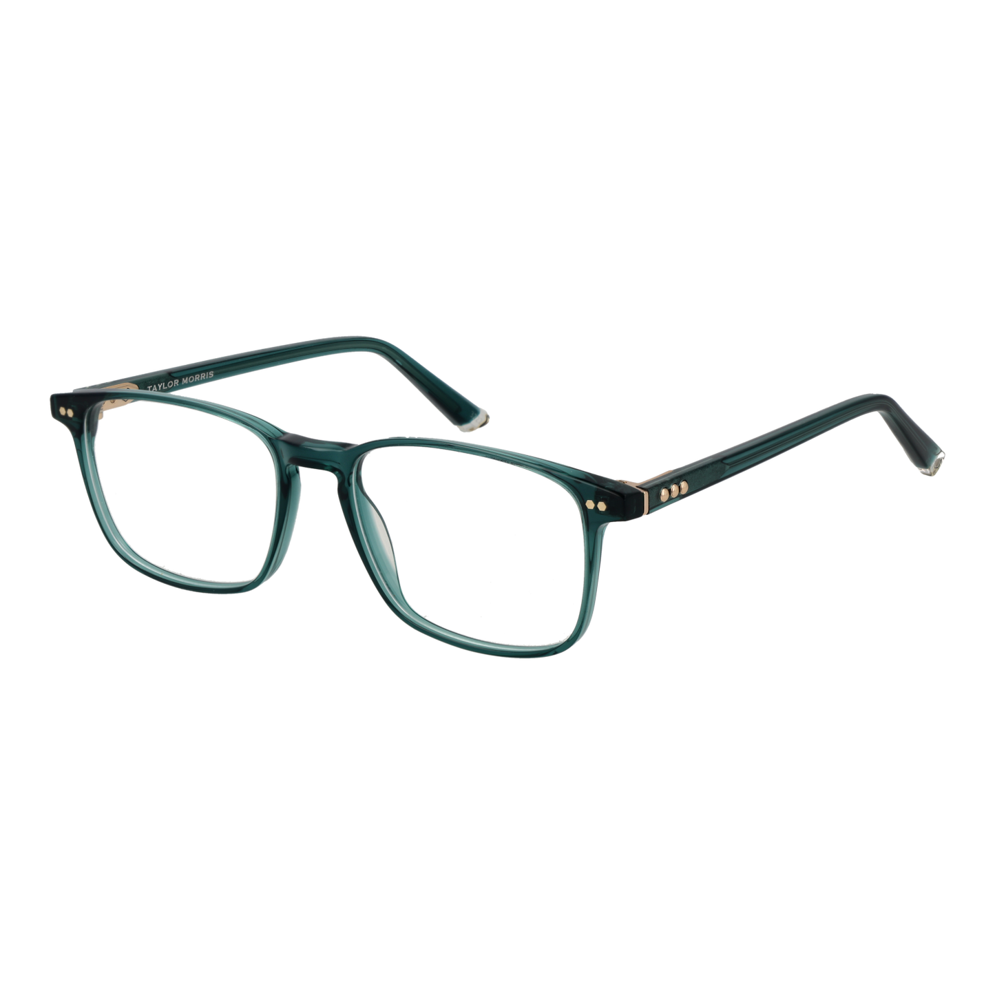 Taylor Morris Optical Frame SW16 C8 52
