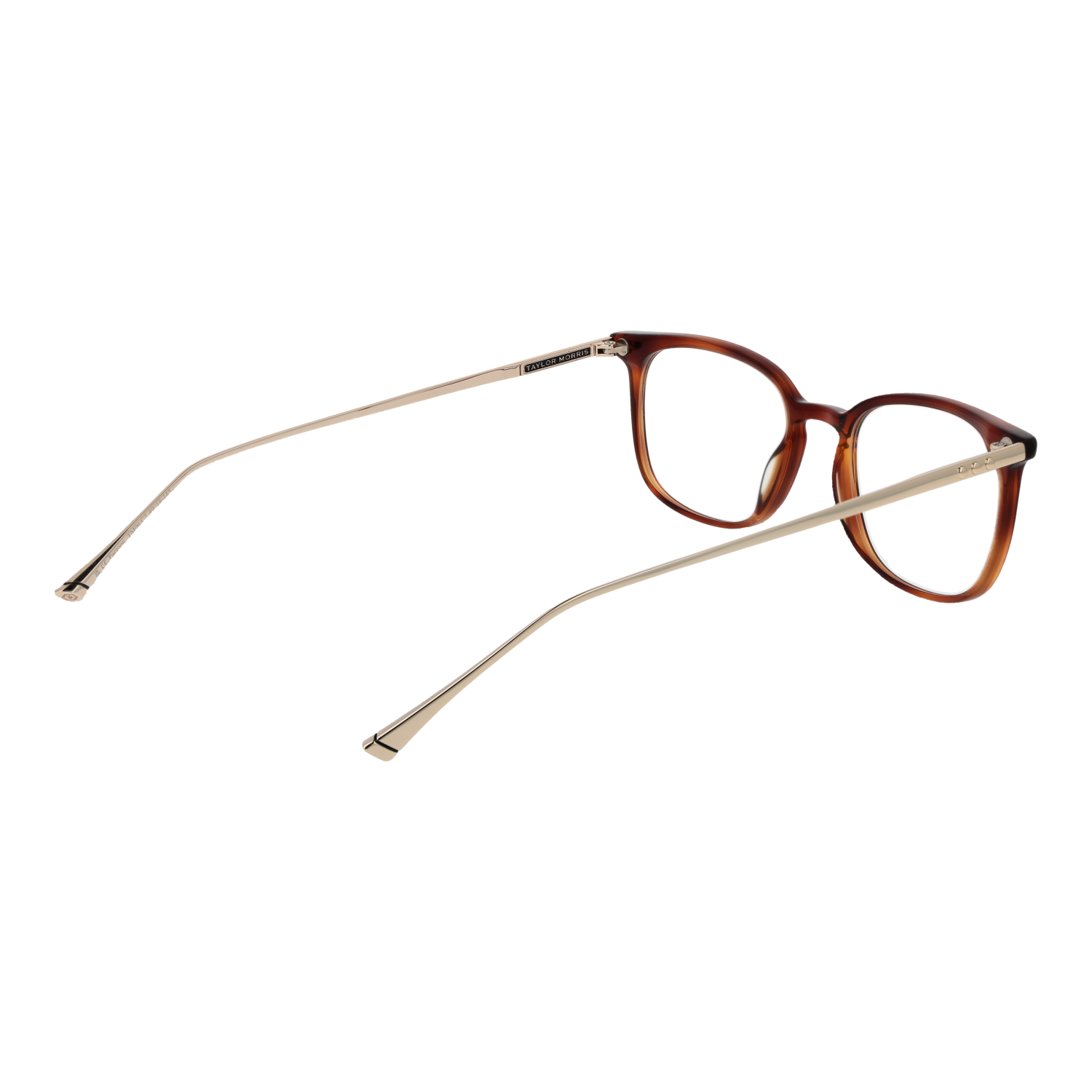 Taylor Morris Optical Frame TM06 C2 49