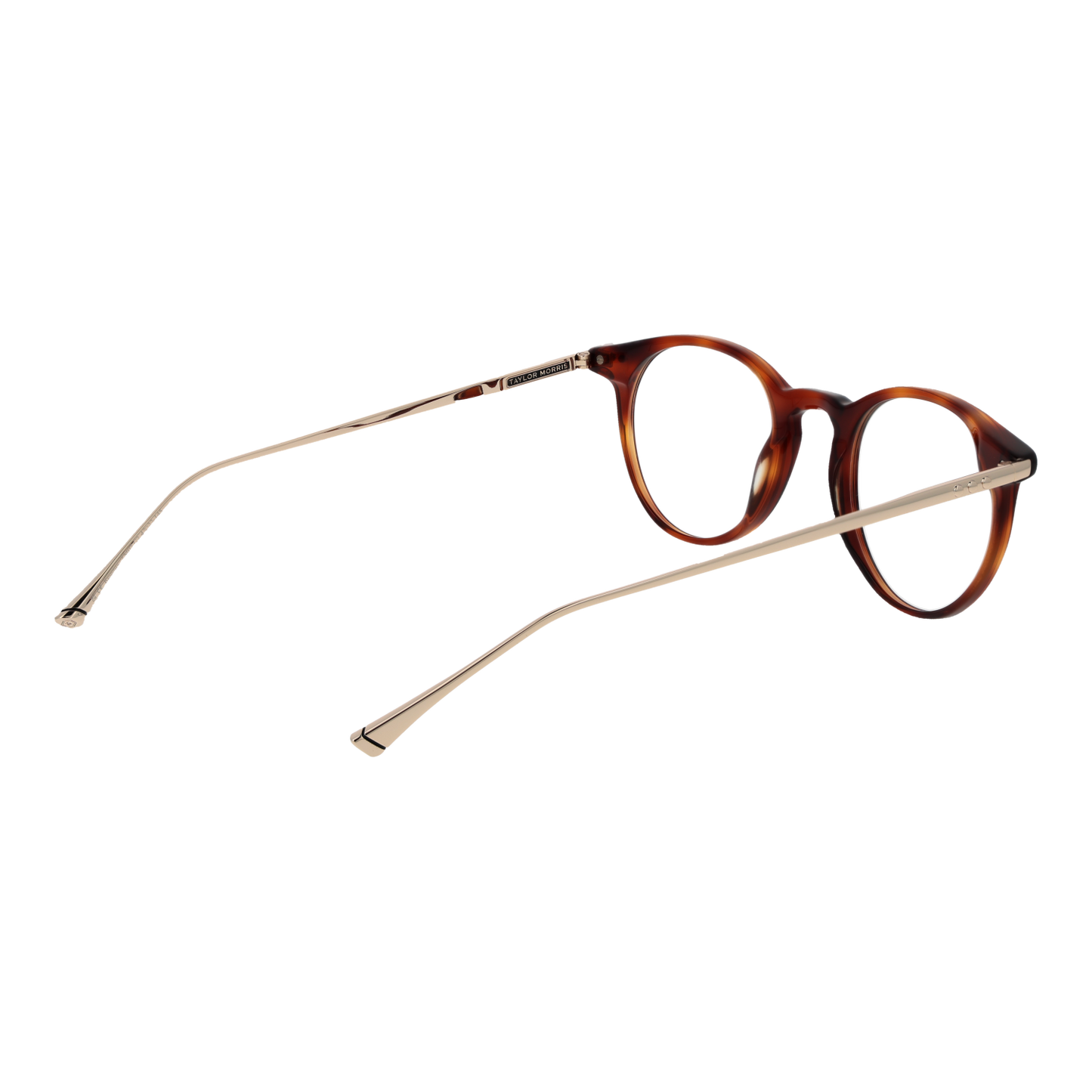 Taylor Morris Optical Frame TM07 C2 47