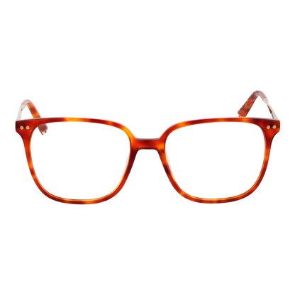 Taylor Morris Optical Frame TM08 C2 53