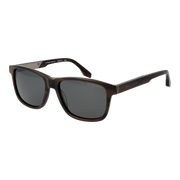 rrs301-56sbr.png