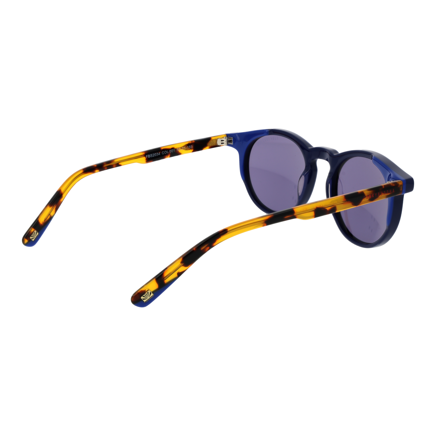 Funky Buddha Sunglasses FBS2034 001 52