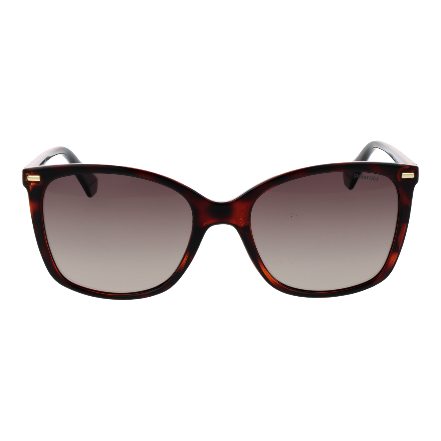 Polaroid Sunglasses PLD 4108/S 086LA 55