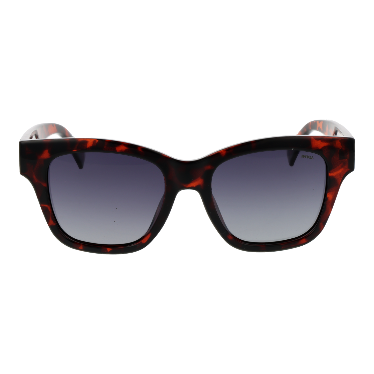 Invu Sunglasses B2322 B 51