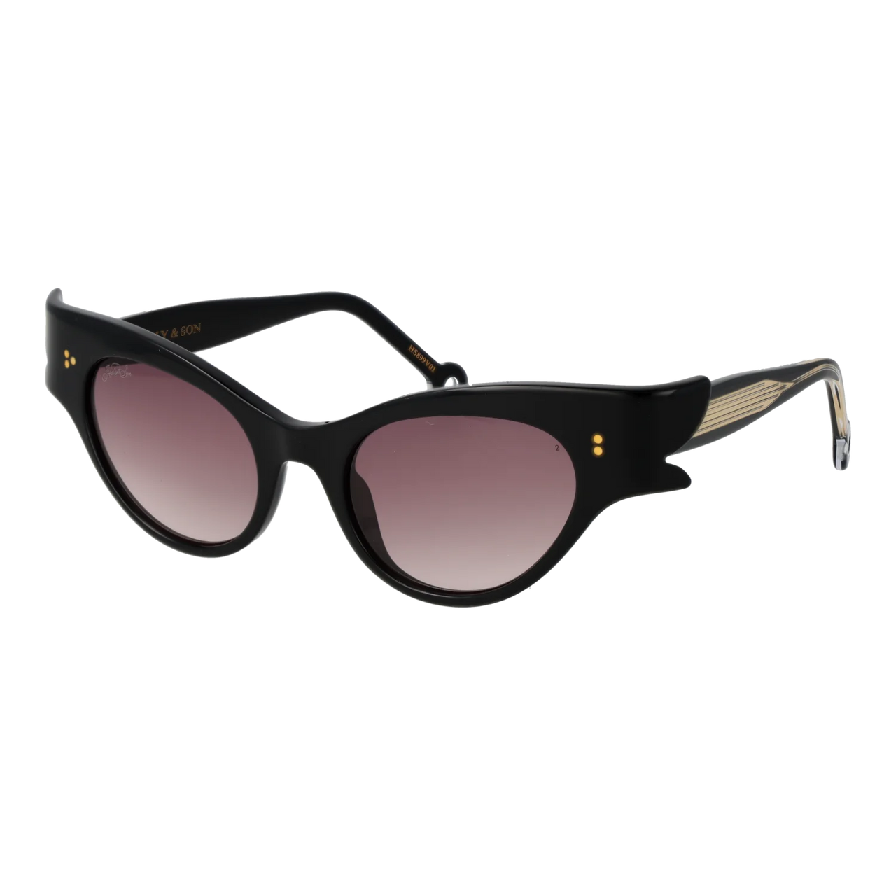 hs899v01s-5001s.png
