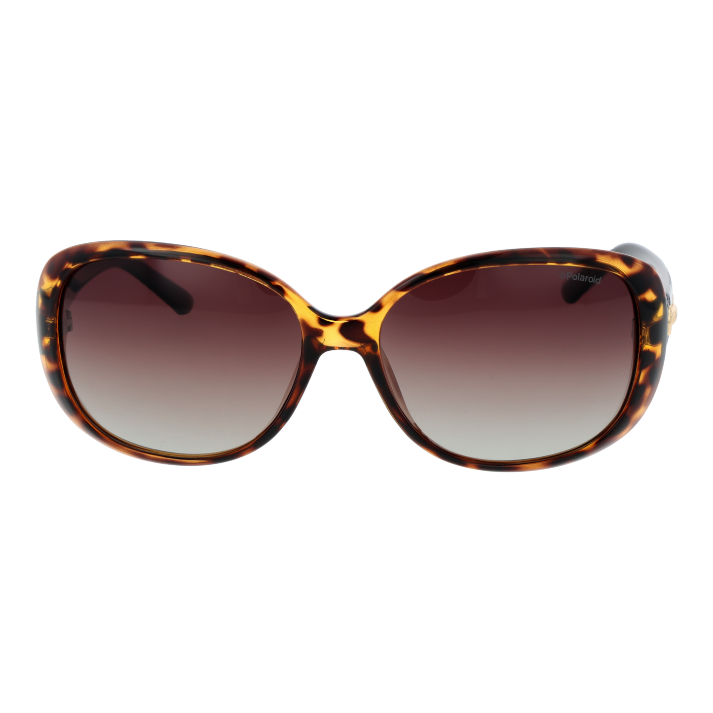 Polaroid Sunglasses P8430 581LA 58