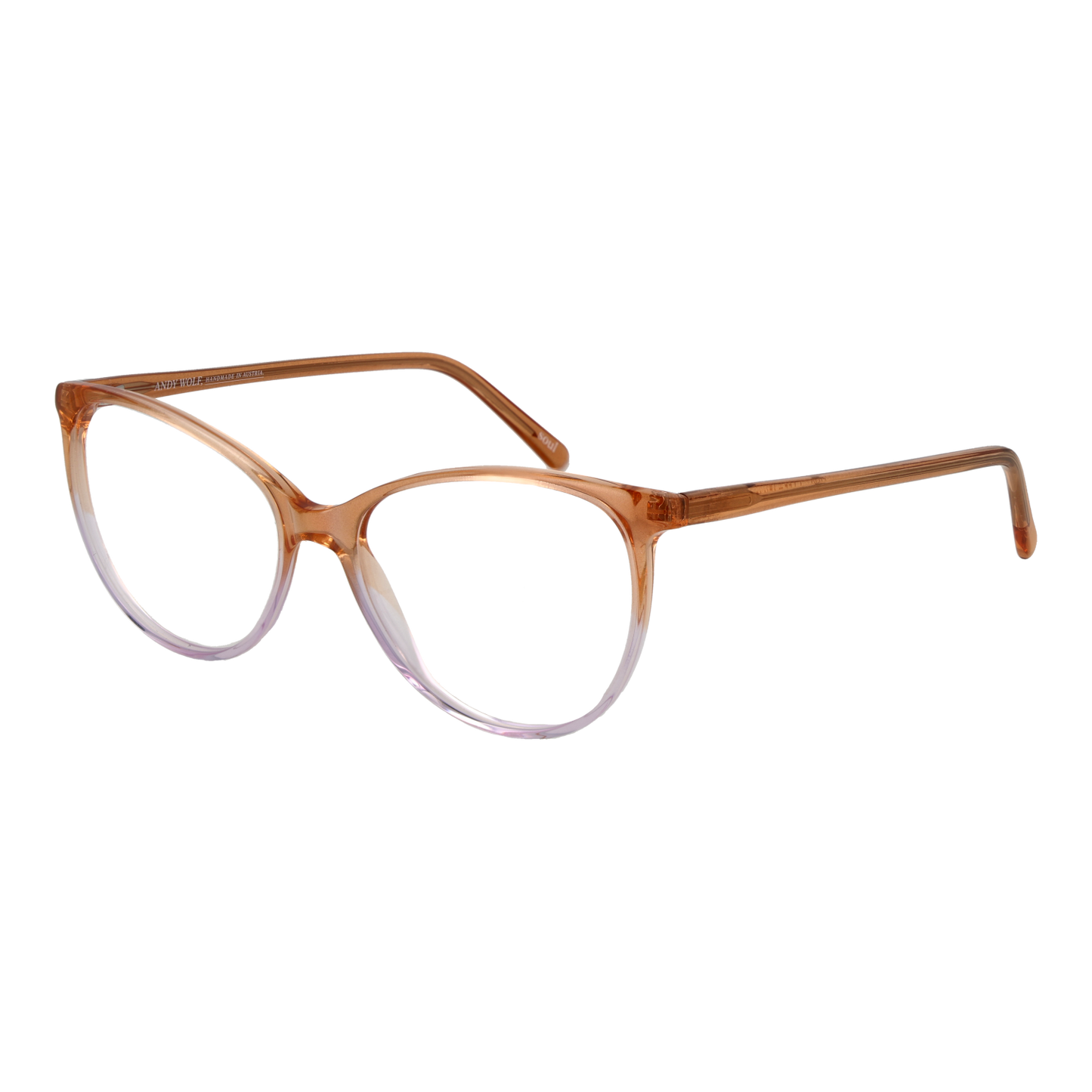 Andy Wolf Optical Frame 5076 F 55