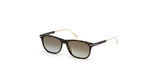 Tom Ford FT0813 53G 55 Sonnenbrille Mann