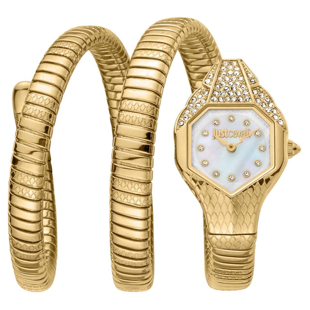 Just Cavalli JC1L193M0025 Signature Snake Glam Evo 7